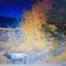 Scott Stallard - Facebook