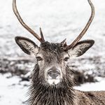 Scott Stanton - @image.adventurer - Instagram