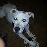 Christine Scott Starcher - @christinescottstarcher - Instagram