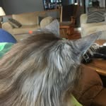 Scott Starling - @scottstarling5008 - Instagram