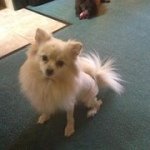 Scott Stegall - @scott_stegall39 - Instagram