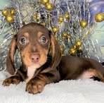 Scott Stegall - Facebook