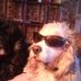 Scott Stahl - Facebook