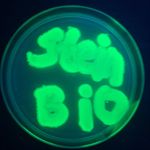 Scott Stein - @sstein59 - Instagram