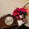 Scott Stepnens - @scottstepnens - TikTok