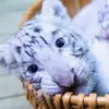 scott sterett - @funny669992 - TikTok