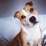 Scott Justice - @scott.justice.5686 - Instagram