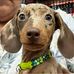 Scott Stickle - Facebook