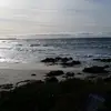 scottstillinger - @scottstillinger - TikTok