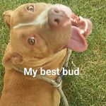 Scott Stites - @stites.scott - Instagram