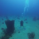 Scott Stiverson - @scott.stiverson.378 - Instagram
