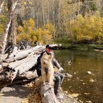 Scott St John - @scottstjohn20 - Instagram