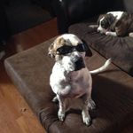 Scott Stoddard - @scott.stoddard.313 - Instagram