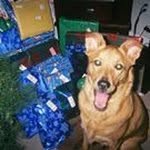 Trae Scott Stoffer - @traestoffer - Instagram