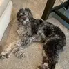 scott stoneking - @scottstoneking - TikTok