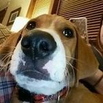 Scott Straka - @scottstraka - Instagram