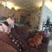 Scott Stransky - Facebook