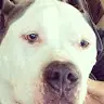 Scott Stricker476 - @scottstricker476 - TikTok