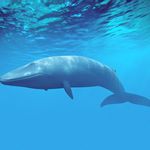 Scott Stricker - @scott.stricker01 - Instagram