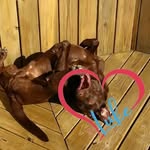 Scott Strike - @sstrike1964 - Instagram