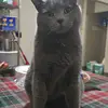 scottygoodstriker - @scottygoodstriker - TikTok