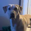 Scott A. Stroman - @curiousak71 - TikTok