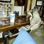 Scott Stroman Jr. - @jr.scottstroman - Instagram