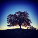 Scott Stroot - @strootshots - Instagram