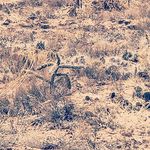 scottstruble@live.com - @m.scottstruble - Instagram