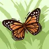 Scott Strunk - @scott.strunk - TikTok