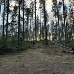 Scott Struthers - @scotts_adventure124 - Instagram