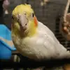 Scott Stuck - @scott.stuck - TikTok