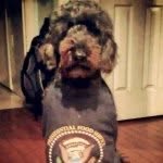 scott studdard - @mcscott33 - Instagram