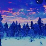 scott - @scottmasuda - Instagram
