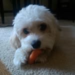 Scott Sumpter - @scott_sumpter - Instagram