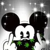scottsundquist - @scottsundquist - TikTok