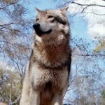 Scott Sutterfield - @brightmage - Instagram