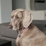 Scott Swain - @scottswain1 - Instagram