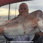 Scott Swain - @swaindog1 - Instagram