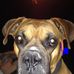 Scott Swedlund - Facebook