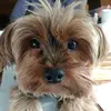 Scott Sweitzer541 - @scottsweitzer541 - TikTok
