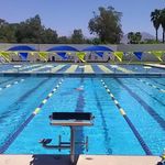 Sac Swimmers - @scottsdale_aquatic_swimmers_ - Instagram