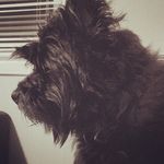 Scott Symonds - @scott.symonds3 - Instagram