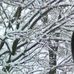 Scott Szabo - Facebook