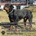 Scott Szabo - Facebook