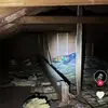 scottszabo242 - @scottszabo242 - TikTok
