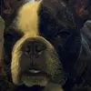 Zabs74 - @scottszabo4 - TikTok