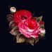 ScottKristi Tackett - Facebook