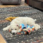 Scott Tangen - @scottatangen - Instagram