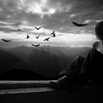 Scott Tapia - Facebook